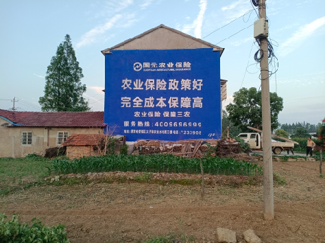 洛南墙体广告的优劣势你知道吗？